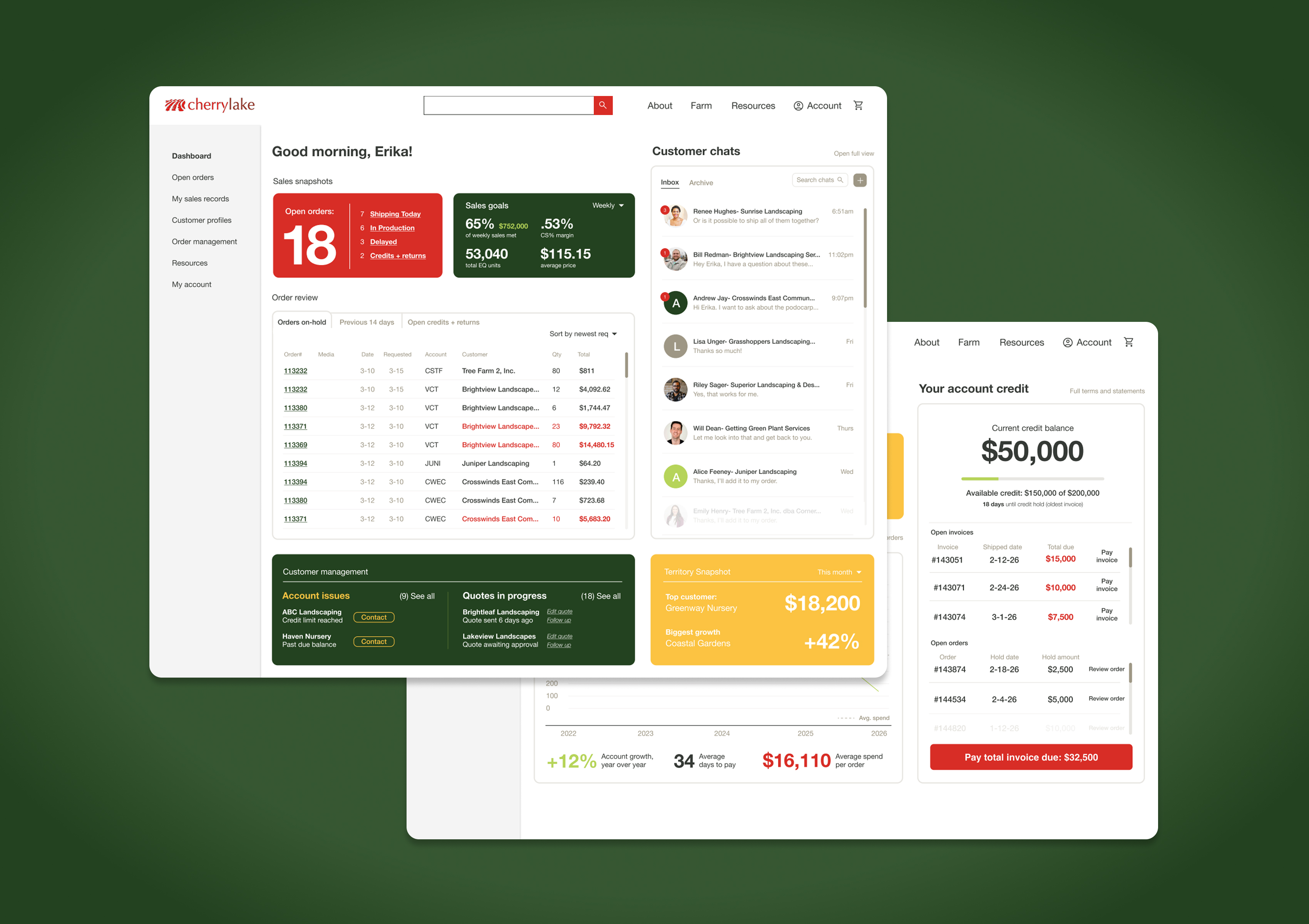 Cherrylake E-Comm Dashboards cover