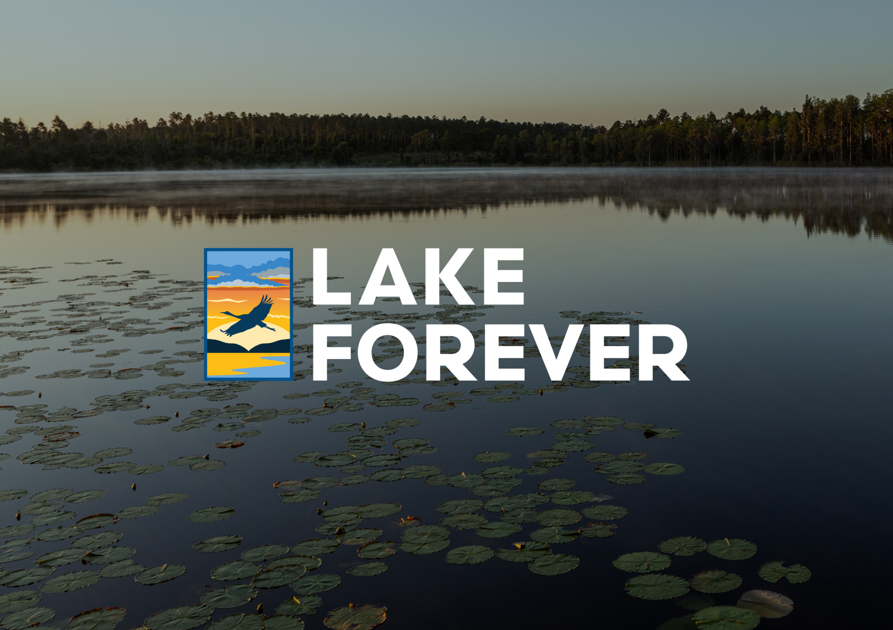 Lake Forever cover